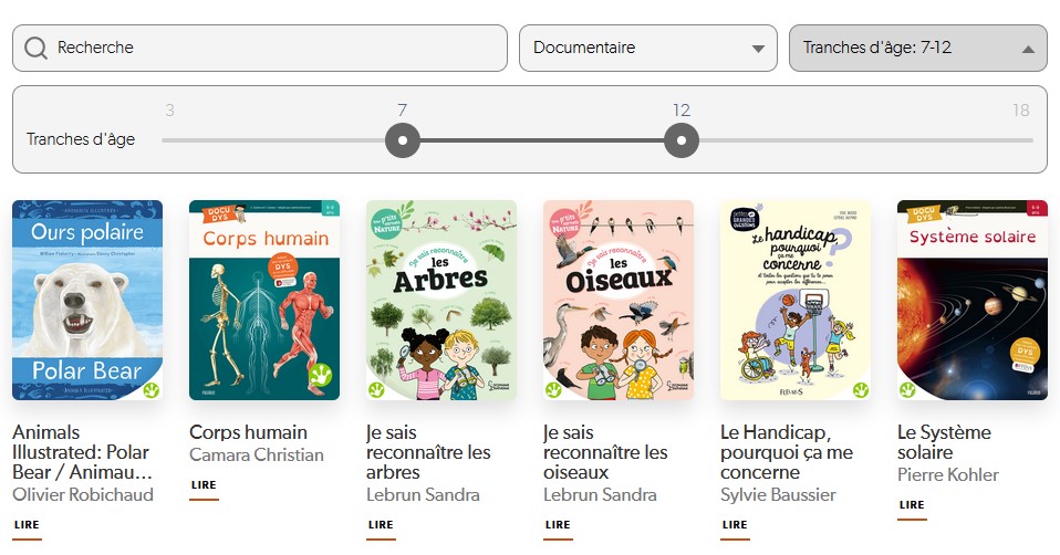 Illustration des possibilités de recherche sur le site Bibliodyssée